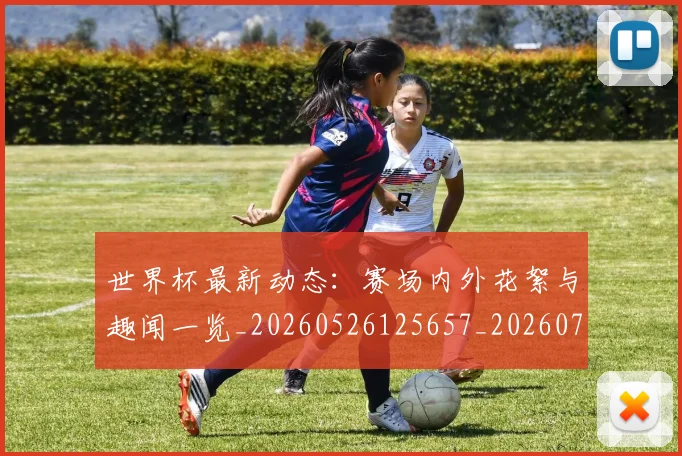 世界杯最新动态：赛场内外花絮与趣闻一览_20260526125657_20260703203221