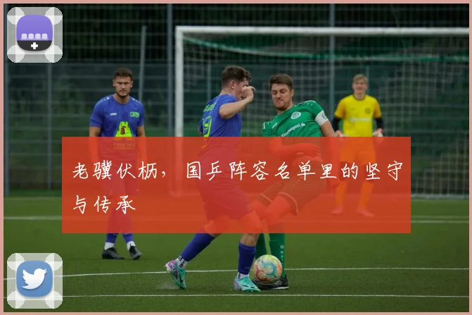老骥伏枥,国乒阵容名单里的坚守与传承