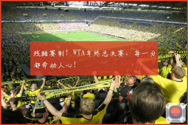 残酷赛制!WTA年终总决赛,每一分都牵动人心!
